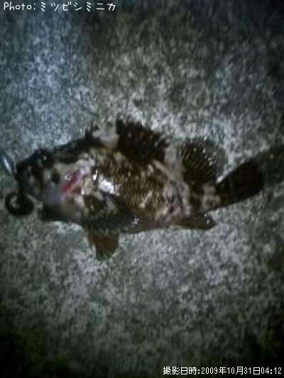 �����Υ���Х�