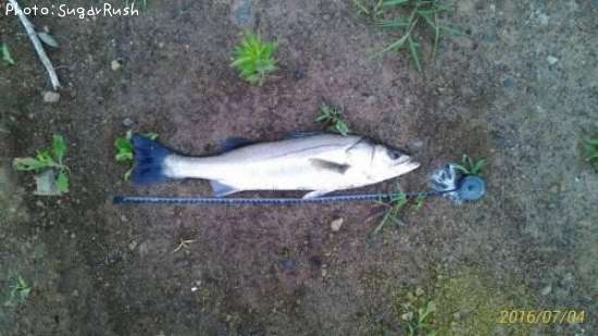 �����Х�