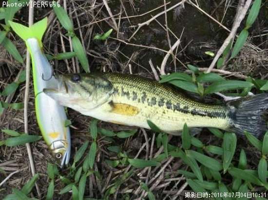 �֥�å��Х�