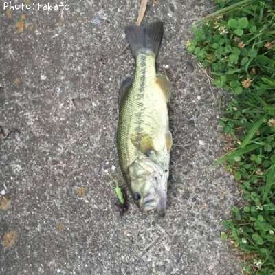 �֥�å��Х�