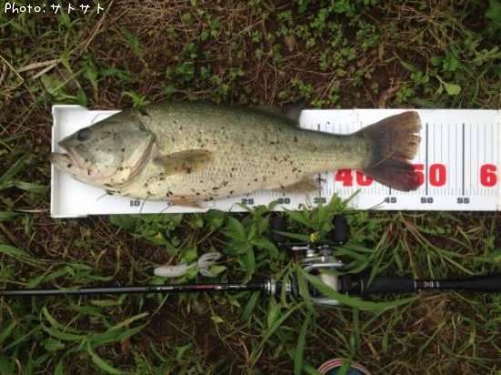 �֥�å��Х�