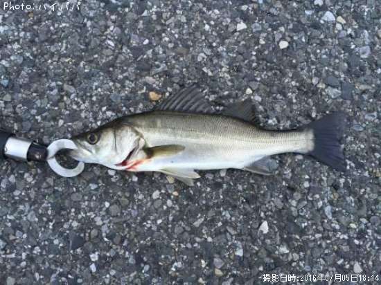 �����Х�