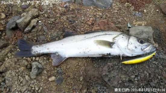 �����Х�