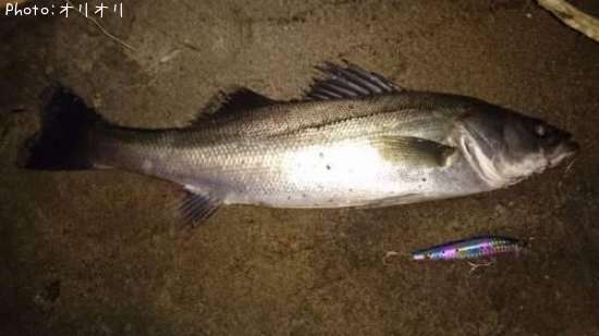 �����Х�