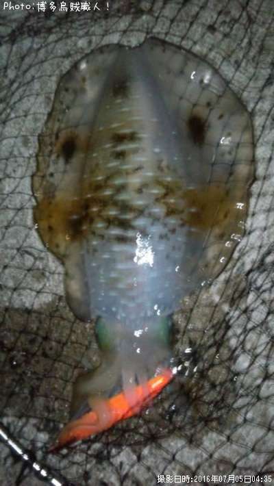 �����ꥤ��