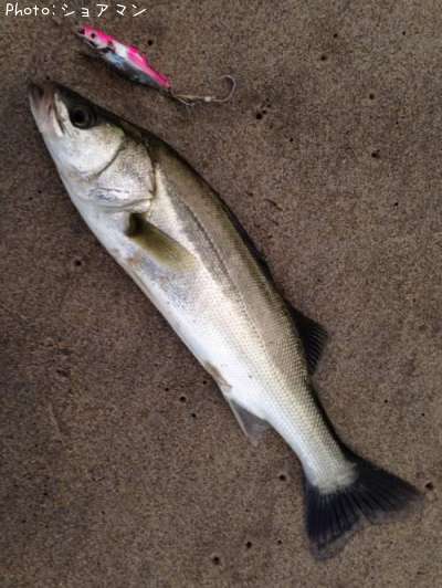 �����Х�