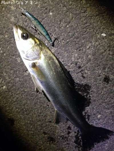 �����Х�