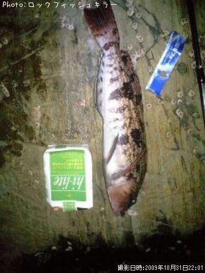 �����ʤ�