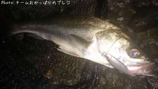 �����Х�