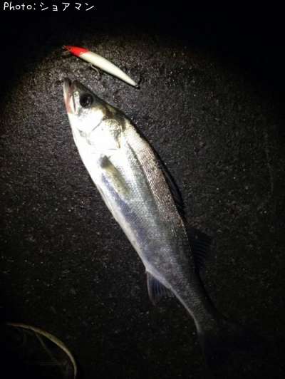 �����Х�