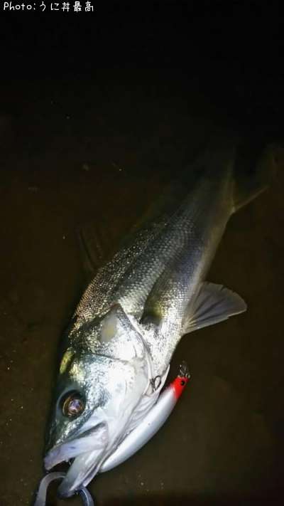 �����Х�