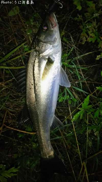 �����Х�