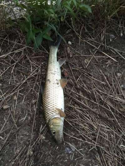 �����ˡ�