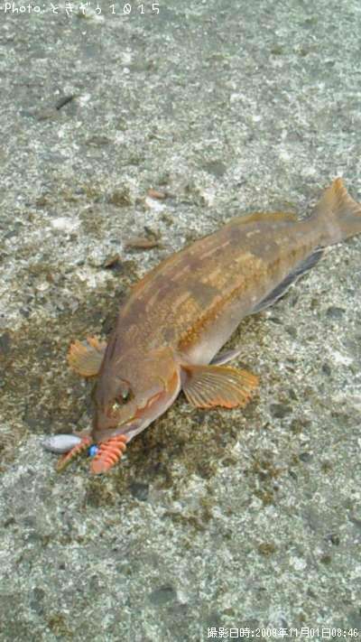 �����ʥ�