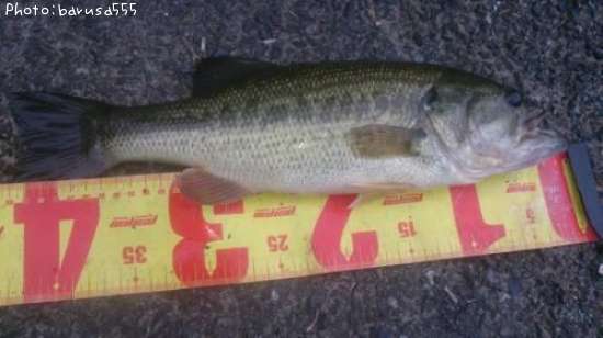 �֥�å��Х�