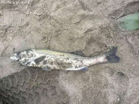 �����Х�