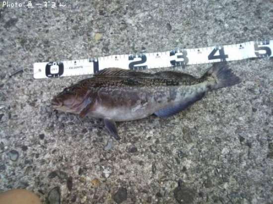 �����ʥ�