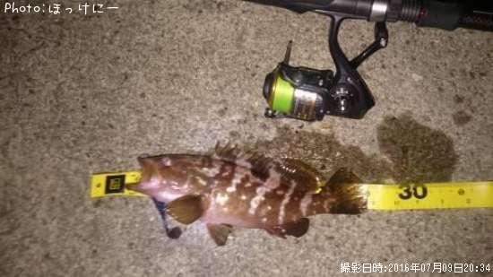 �����ϥ�