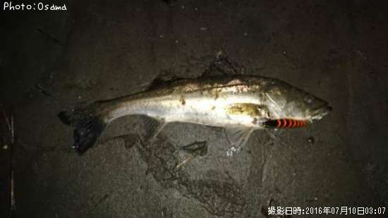 �����Х�