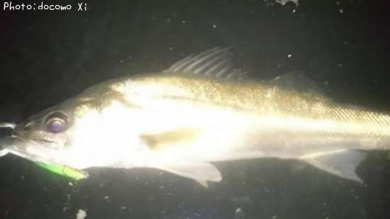 �����Х�