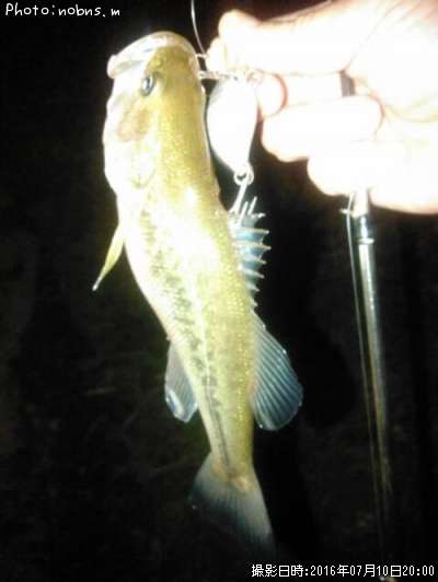 �֥�å��Х�