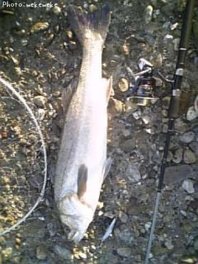 �����Х�