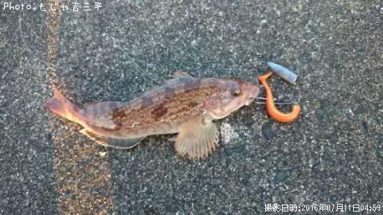 �����ʥ�