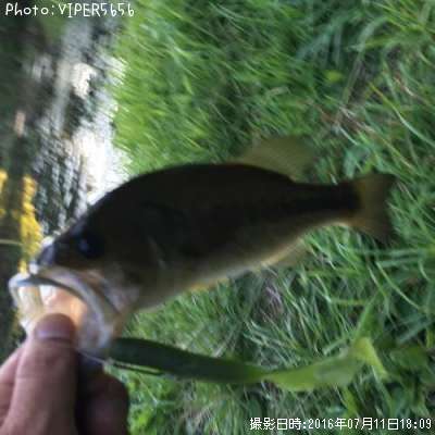 �֥�å��Х�