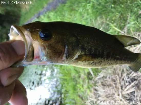 �֥�å��Х�