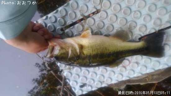 �֥�å��Х�