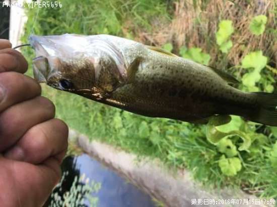 �֥�å��Х�