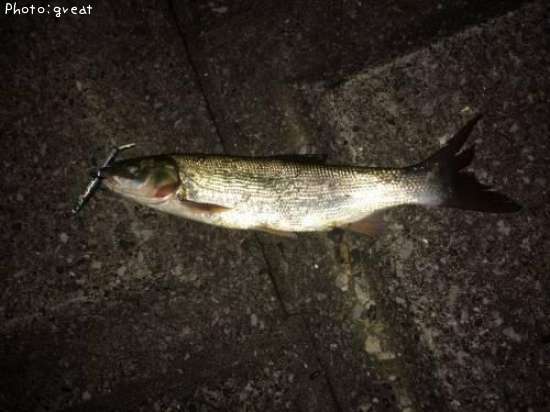 �ޥ륿������