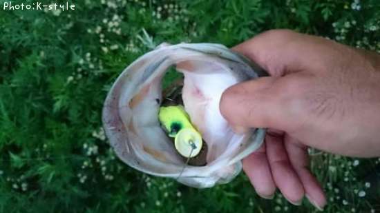 �֥�å��Х�