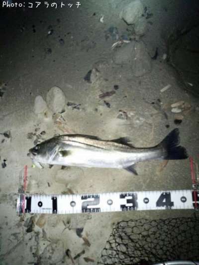 �����Х�