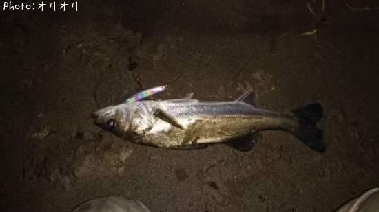 �����Х�