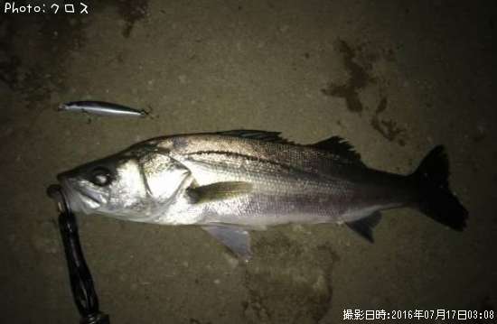 �����Х�