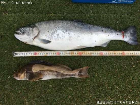 ���󥸥㥱��¾