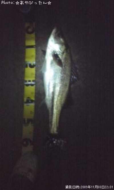 �����Х�