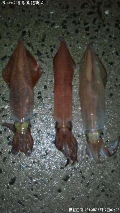 ���󥵥�����