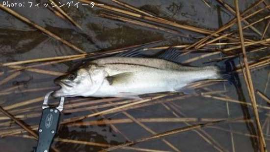 �����Х�