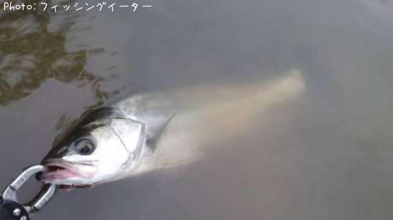 �����Х�