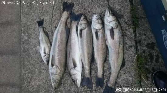 �����Х�