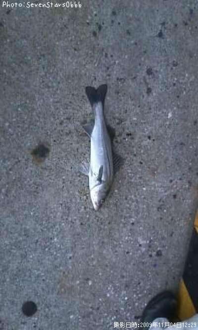 �����Х�