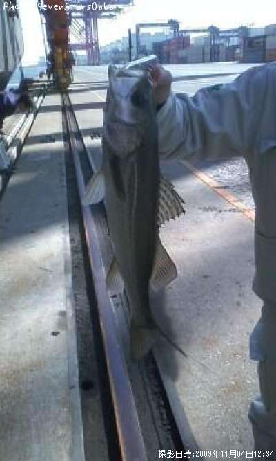 �����Х�