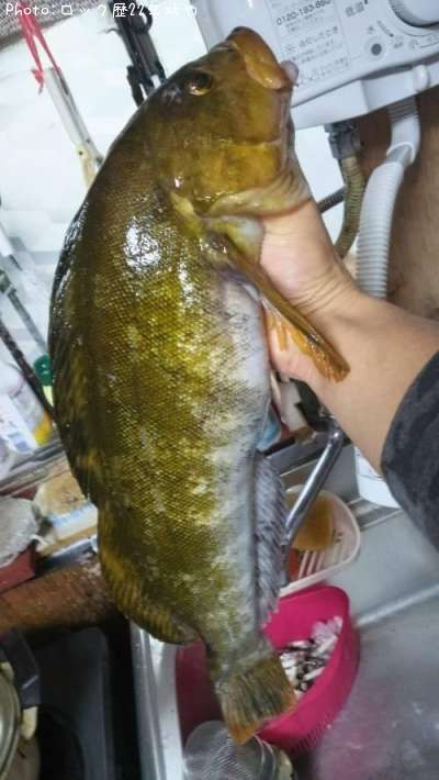 �����ʥ�