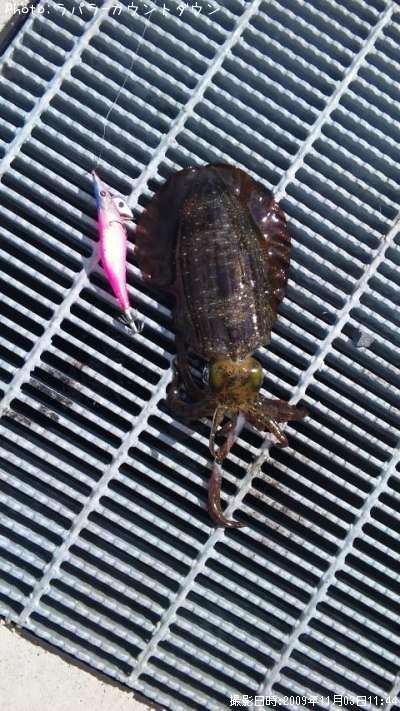 �����ꥤ��