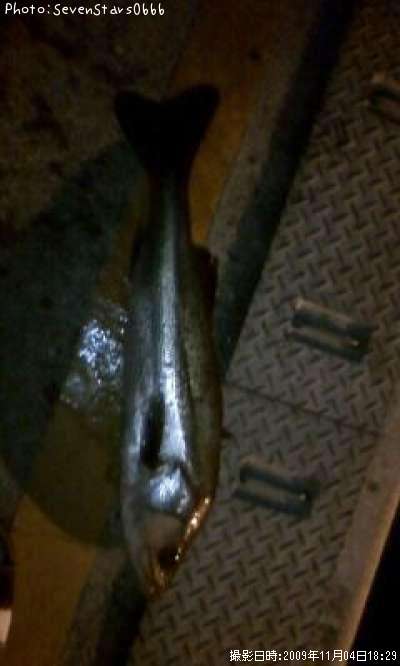 �����Х�