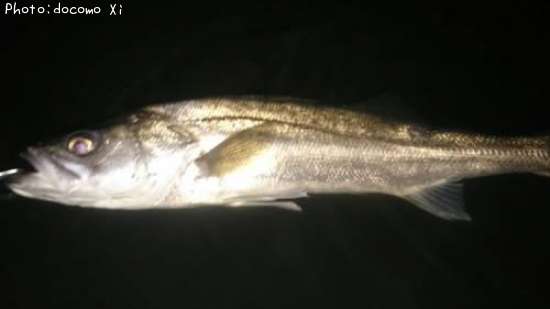 �����Х�