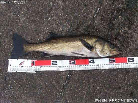 �������Х�