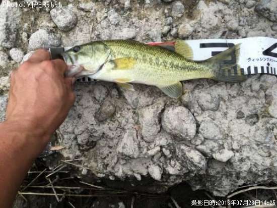 �֥�å��Х�